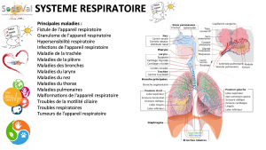 pourquoi-detoxpatch - Vignette Page 58
