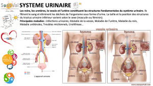 pourquoi-detoxpatch - Vignette Page 59