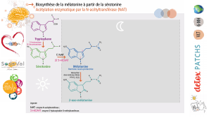 pourquoi-detoxpatch - Vignette Page 67