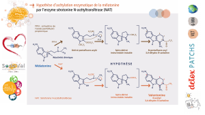 pourquoi-detoxpatch - Vignette Page 68