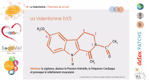 pourquoi-detoxpatch - Vignette Page 70