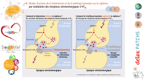 pourquoi-detoxpatch - Vignette Page 79