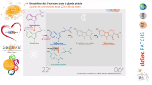 pourquoi-detoxpatch - Vignette Page 85