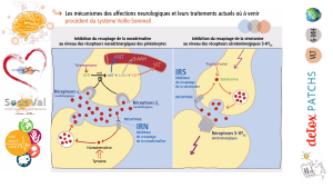 pourquoi-detoxpatch - Vignette Page 94